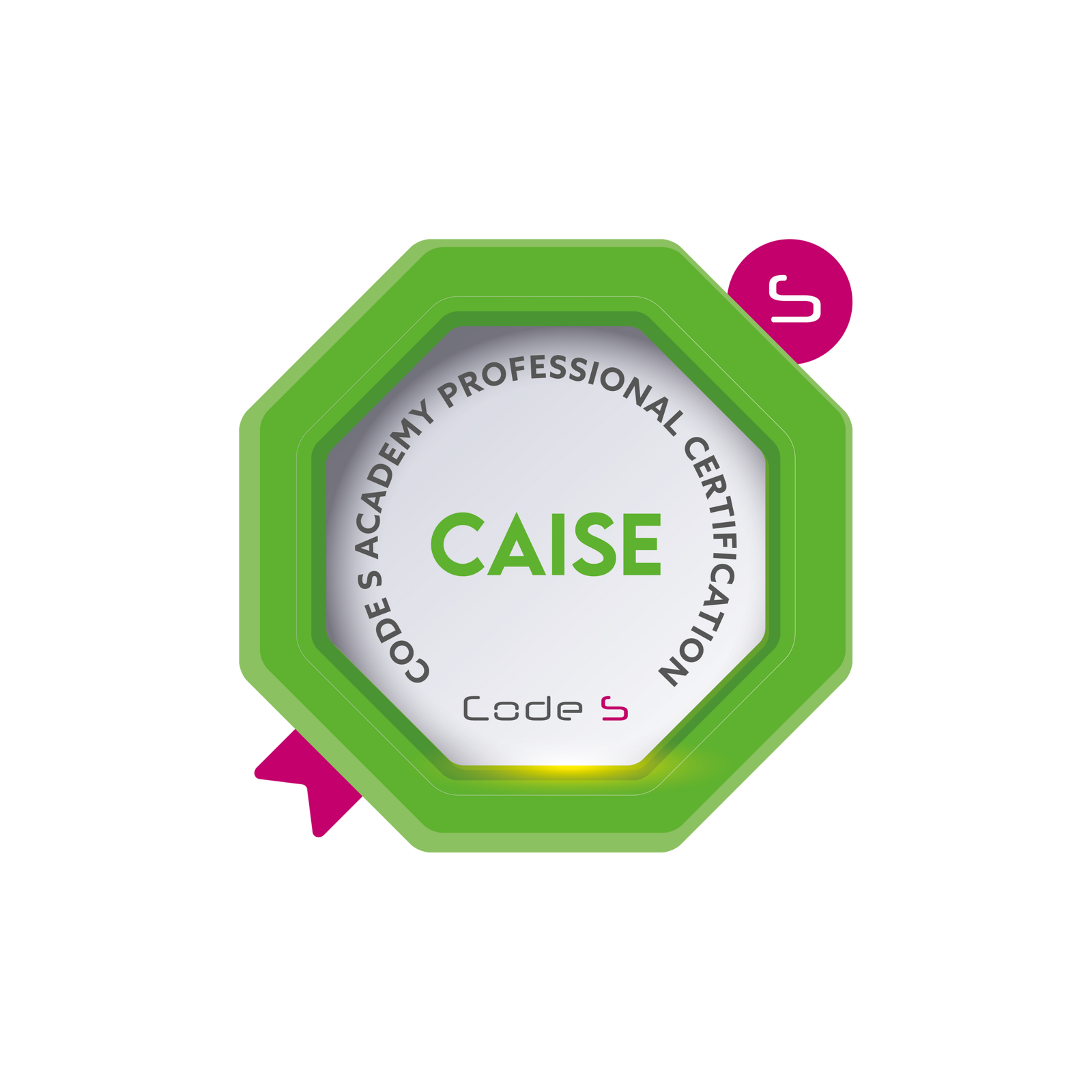 AI Sustainability Expert CAISE